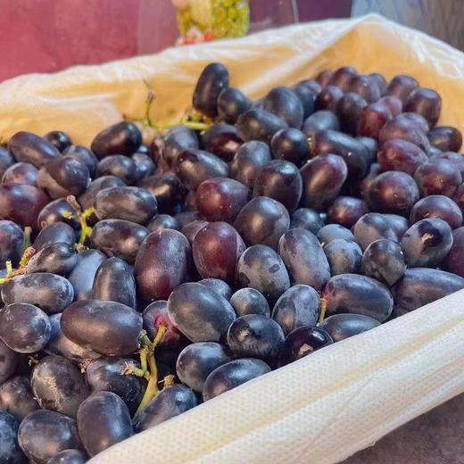 新疆无核籽黑加仑一箱（补单） 商品图1