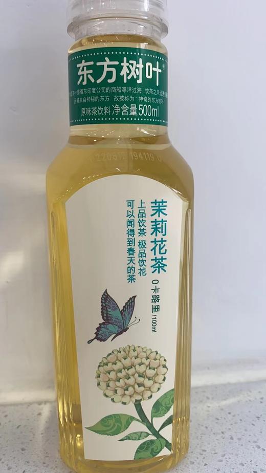 东方树叶  茉莉花茶 调味茶饮料  淡茶 商品图0