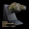 PNSO霸王龙威尔逊头部肖像恐龙书档赵闯杨杨科学艺术雕像书房系列 商品缩略图0