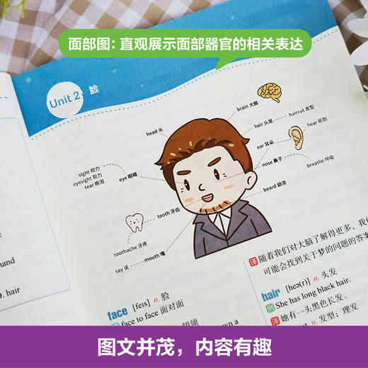 思维导图. 全彩图解初中英语词汇、语法 商品图3