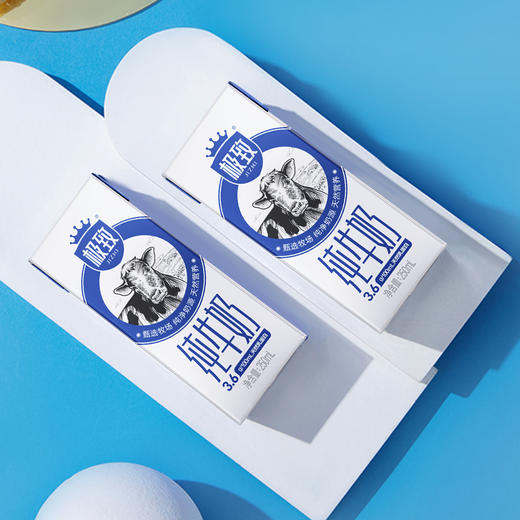 【快递到家-常温】全脂纯牛奶 250ml*12盒*2提 商品图5