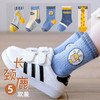 春秋季儿童袜子纯棉卡通宝宝中筒袜男童女童冬天棉袜小孩可爱厚袜 商品缩略图7