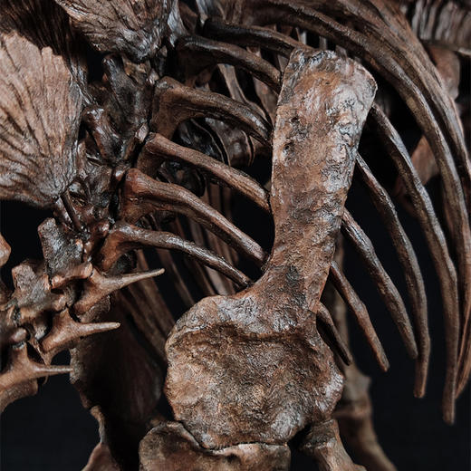 【定制】剑龙 骨架 树脂模型摆件做旧风考古教学道具（长69cm)【菊石制造】 商品图1