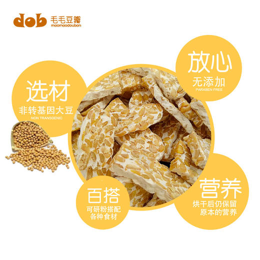 天贝干片 纯净素食 即食tempeh蛋白非转基因黄豆 维生素b12 120g/罐 商品图2
