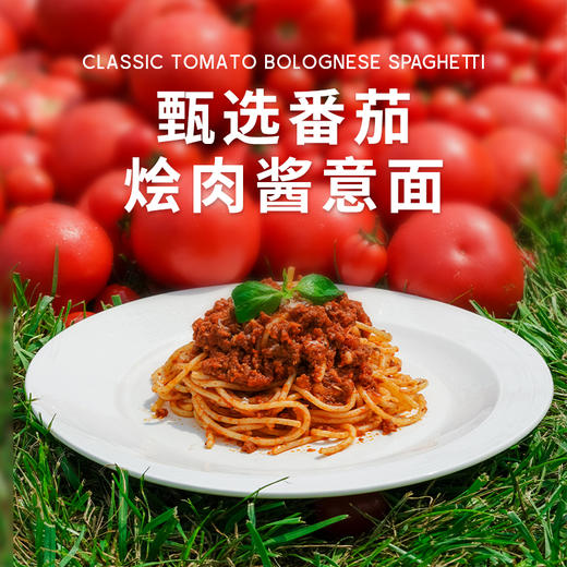 小黄象儿童番茄烩肉酱意面269G  甄选新疆天山番茄+26%超高含肉量 商品图0