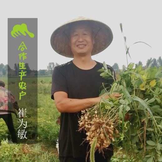 生态带壳干花生（河南，两品种混发） | 合作生产* cological Fresh Peanuts | Coproduction 商品图1