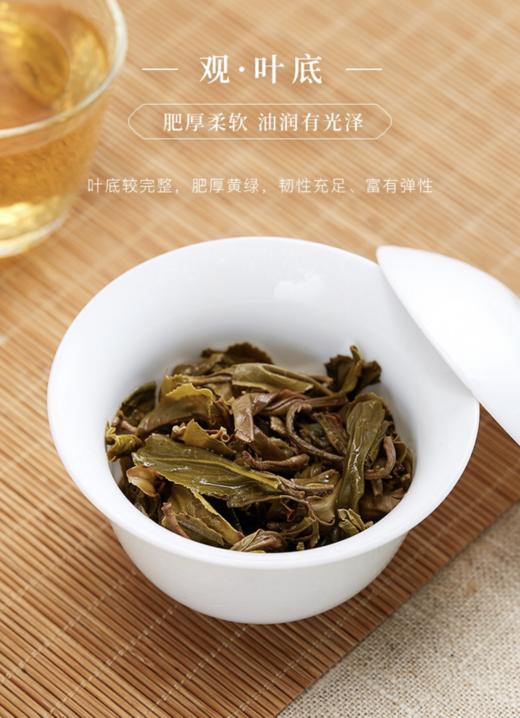八马茶业 普洱生茶·信记号福猪纳祥 商品图7