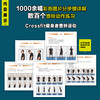 (仓发) 壶铃训练全书（全彩图解版）(人邮体育出品)/人民邮电出版社/[英],杰夫·马尔托内（Jeff,Martone）/9787115525703 商品缩略图3