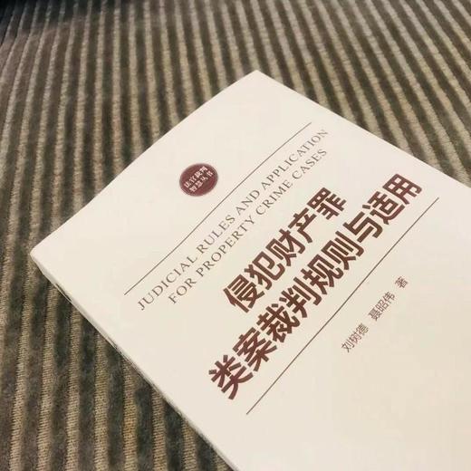 侵犯财产罪类案裁判规则与适用 商品图0