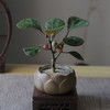 【小盼菩提】菩提禅意新中式茶室书桌客厅办公室观叶果盆景栽迷你净化空气绿植 商品缩略图1