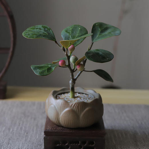 【小盼菩提】菩提禅意新中式茶室书桌客厅办公室观叶果盆景栽迷你净化空气绿植 商品图1