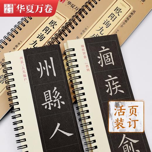 (仓发) 华夏万卷毛笔近距离临摹字卡 欧阳询九成宫醴泉铭上下册字帖 成人初学者楷书钢笔硬笔临摹字帖/湖南美术出版社/华夏万卷/9787535694157 商品图5