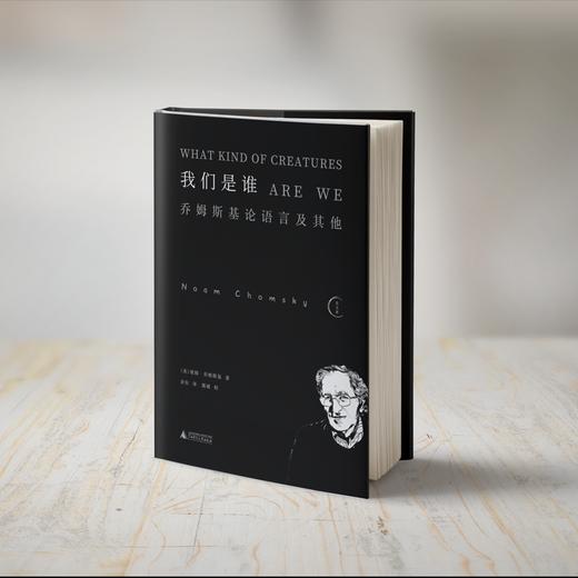 我们是谁？乔姆斯基论语言及其他 商品图1