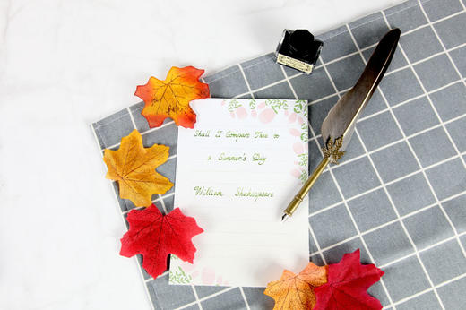 (仓发) 英语字帖 每天写一点唯美英文：我的心情手札 经典英文小说 （附赠临摹纸+磁性书签夹+配乐朗读音频）/中国宇航出版社/星星外语教研组/9787515914893 商品图3