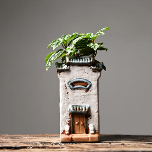 文竹多肉花盆陶瓷禅意房子家居装饰品摆件客厅创意微景观植物盆栽 商品图7