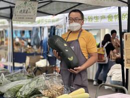 德润屋，12种蔬菜&薄荷&豆腐&油豆腐，预计5月8日发货，限北京！