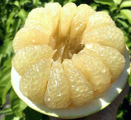 【礼盒装】西双版纳傣柚 4个装 商品图3