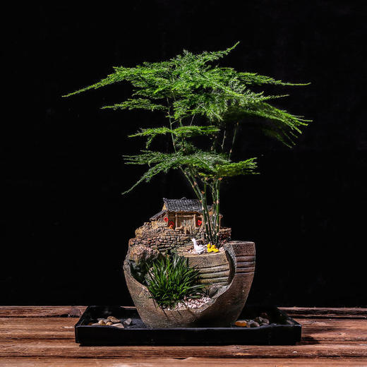 【烟雨江南】中式禅意复古花盆造景盆器桌面微景观室内盆栽文竹菖蒲盆景植物盆 商品图2