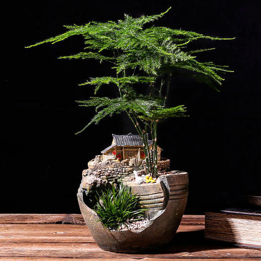 中式禅意复古花盆造景盆器桌面微景观室内盆栽文竹菖蒲盆景植物盆 商品图0