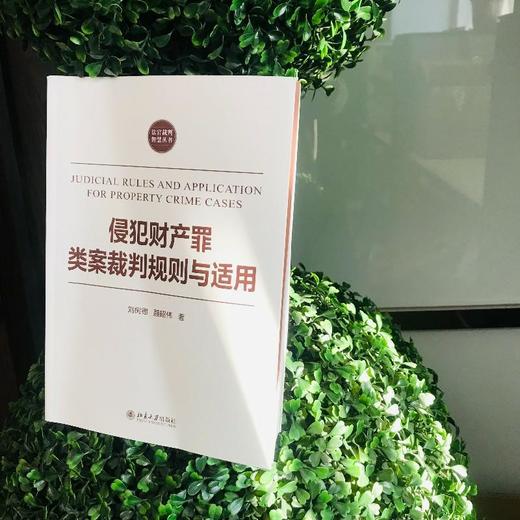 侵犯财产罪类案裁判规则与适用 商品图1