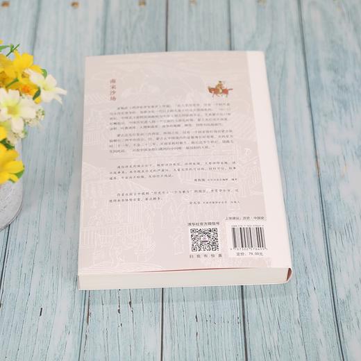 (仓发) 南宋沙场/清华大学出版社/陈胜利/9787302578499 商品图4