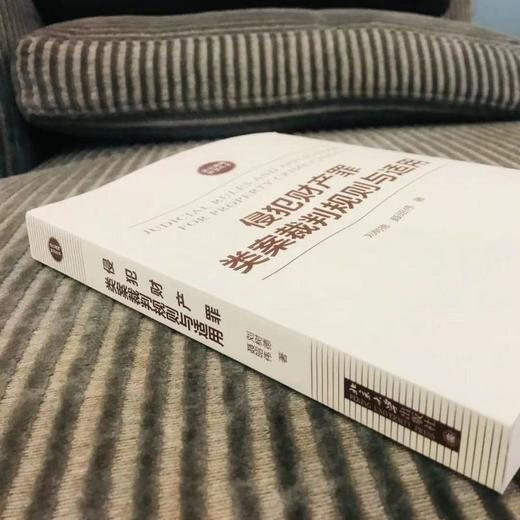侵犯财产罪类案裁判规则与适用 商品图2