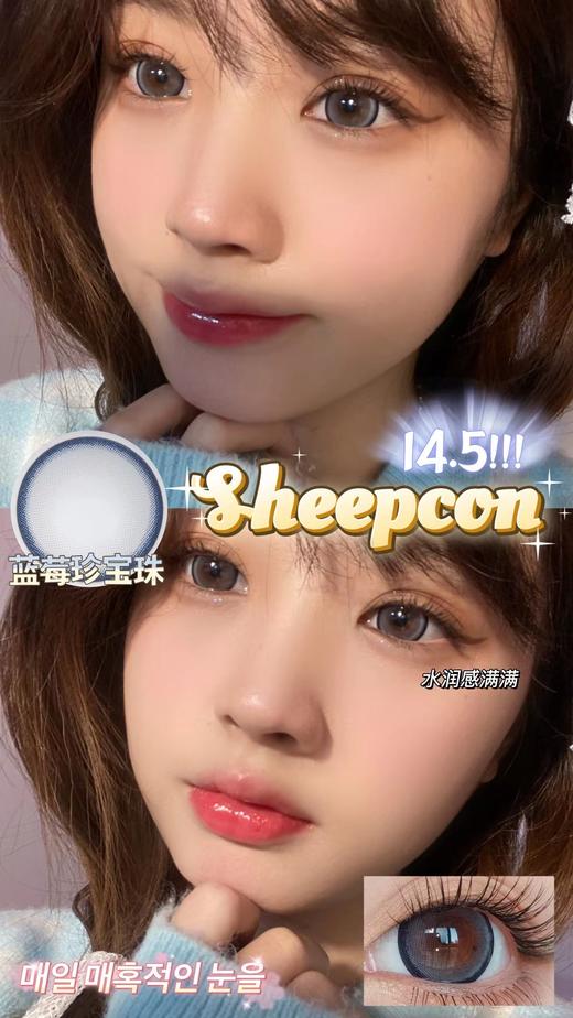 SHEEPCON 大直径年抛 商品图1