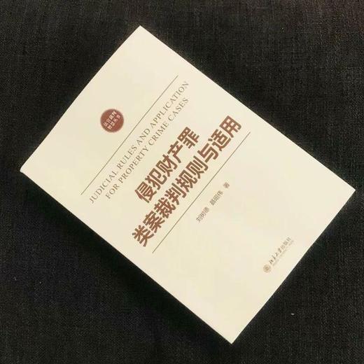 侵犯财产罪类案裁判规则与适用 商品图3