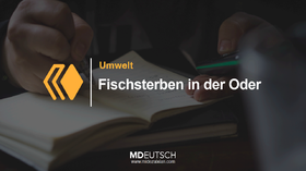 36.【环境】奥得河的鱼群死亡（MP3）