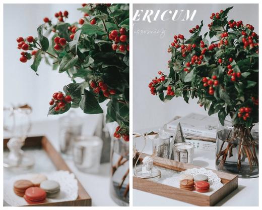 火龙珠·红豆·富贵豆 商品图0