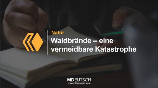 32.【自然】森林火灾 商品图0