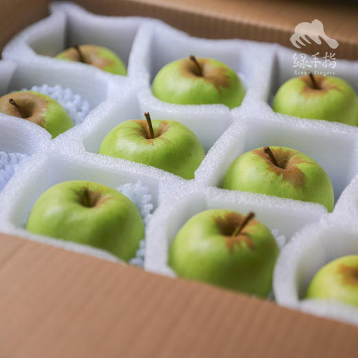 生态小金青苹果| 合作生产 * Ecological Green Apple | Coproduction 商品图2