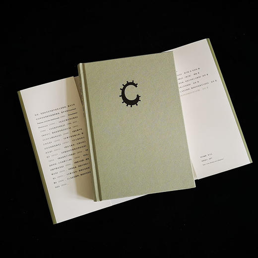 (仓发) 批判性思维的认知与伦理 徐贲作品 做一个独立思考的人/北京大学出版社/徐贲/9787301316405 商品图4