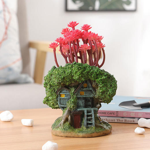 创意多肉花盆套装组合个性肉肉植物多口老桩微景观小号口径花盆栽 商品图1