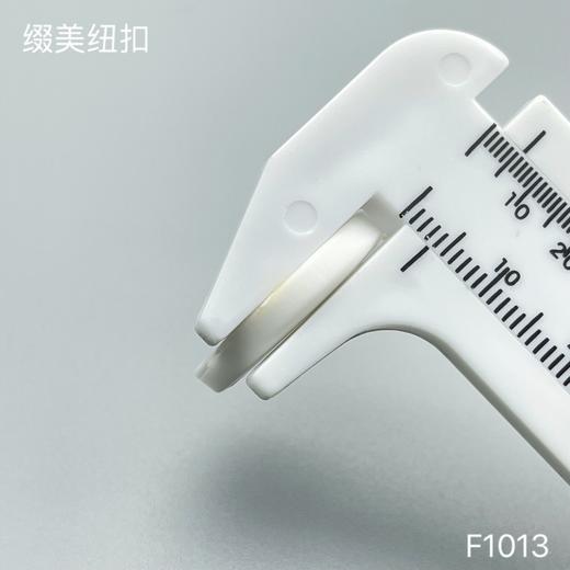F1013(整包购买) 商品图6