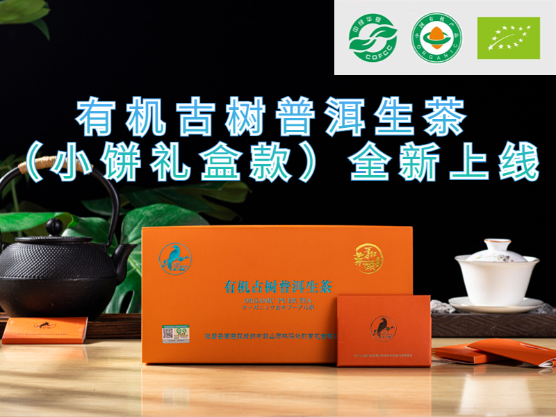 菜头商城有机古树纯料普洱生茶 （小饼装）喜上眉梢 70g(7g/饼×10饼）