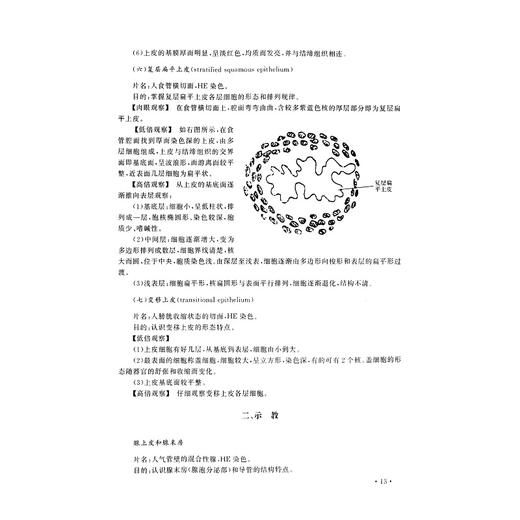 组织学与胚胎学实验/李继承/浙江大学出版社/(供临床护理预防麻醉口腔药学等专业用面向21世纪高等医药院校精品课程教材) 商品图4