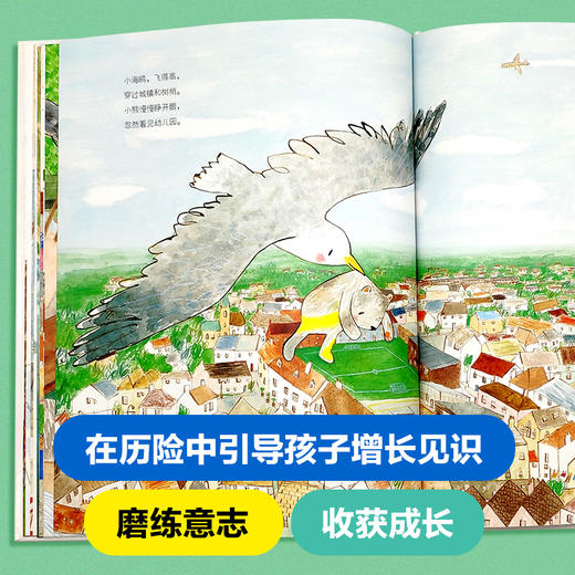 (仓发) 漂流熊（精装） 森林鱼童书/黑龙江美术出版社/[英]朱莉娅.唐纳森，丽贝卡.科布/9787559323736 商品图3