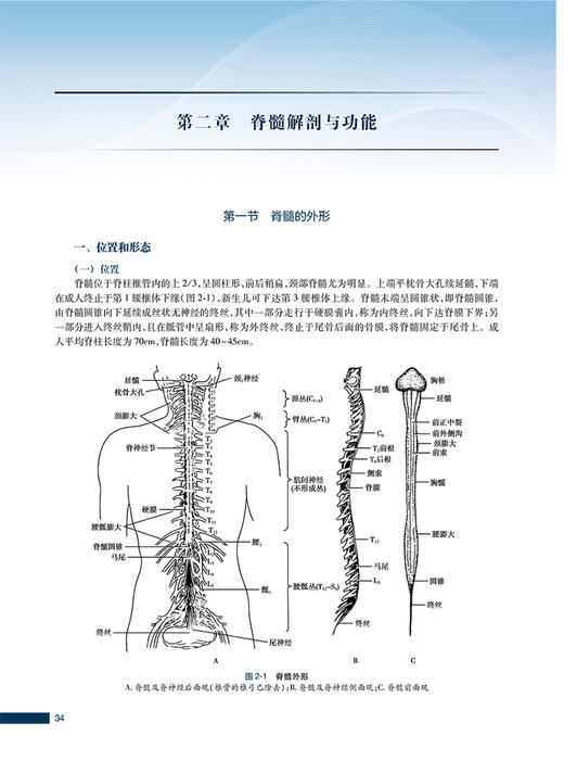实用瘫痪康复 第3版 燕铁斌 窦祖林主编 瘫痪康复解剖理论基础相关功能评定常见瘫痪疾病康复治疗 人民卫生出版社9787117332415 商品图4