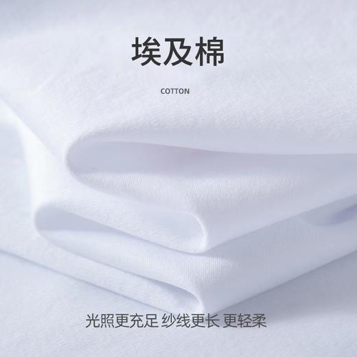 【100%埃及棉】SCHIESSER德国舒雅埃及棉短袖T恤95/19755M 商品图1