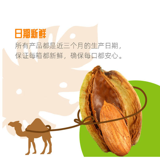 昌西公社巴旦木净重150克/袋特级籽 货源稳定品质有保障 商品图3