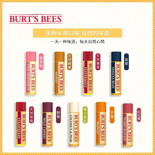 美国Burt's Bees 小蜜蜂润唇膏-4.25g（多款可选 ） 商品图2