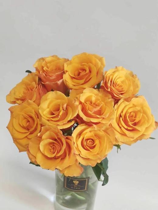 【 拍市玫瑰】辉煌  10枝/扎  约60公分 商品图0
