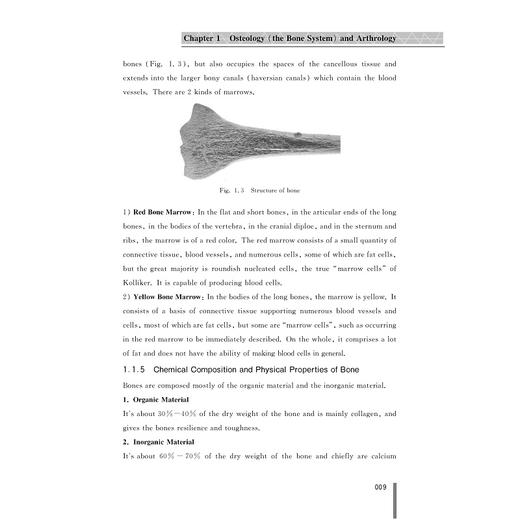 系统解剖学(英文版)/张晓明/浙江大学出版社 商品图5