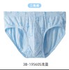 SCHIESSER德国舒雅男童纯莫代尔三角内裤3B/19560S 商品缩略图0