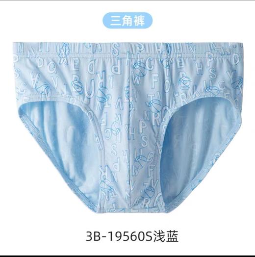 SCHIESSER德国舒雅男童纯莫代尔三角内裤3B/19560S 商品图0