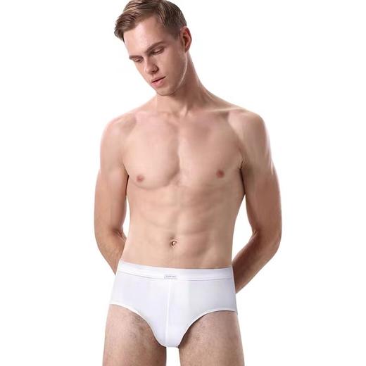 【舒美棉三角2条装】SCHIESSER  德国舒雅男士内裤舒美棉三角裤中腰舒适内裤 2条装35/2066S 商品图2