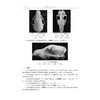 动物解剖学实验指导(动物科学类创新人才培养系列教材高等院校数字化融媒体特色教材)/李剑/浙江大学出版社 商品缩略图4