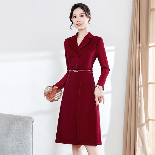 YCE-YJY-22TS220 时尚收腰长袖连衣裙女2022秋季新款修身贵夫人中长款结婚礼服裙子 商品图2