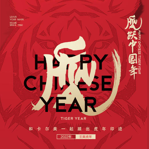 卡尔美足球服套装 虎跃中国系列 成人足球比赛训练球衣男 商品图1